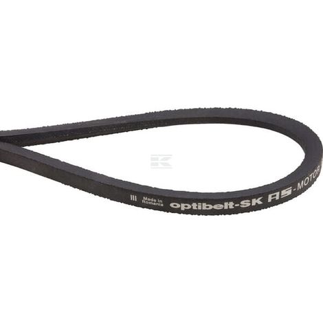 Keilriemen 9,7x875Lw DIN7753 AS-MOTOR E06255ASM (1/2)
