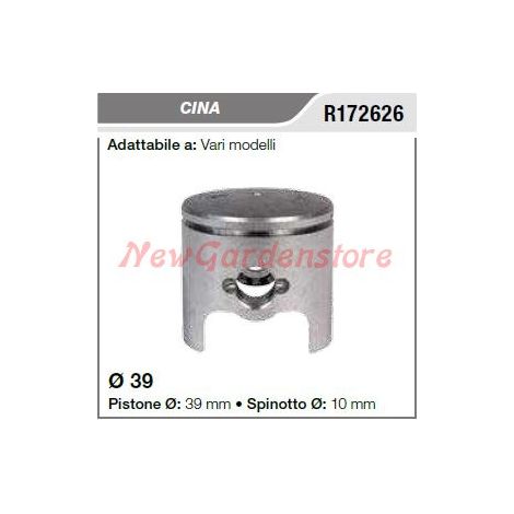 Pistone segmenti spinotto CINA vari modelli R172626