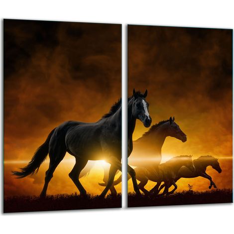 Tagliere in vetro 2x 30x52 cavalli (1/5)