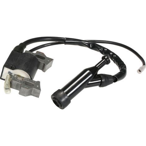 Module De Bobine D'Allumage Pour Honda Gx110 Gx120 Gx140 Gx160 Gx200 (1/5)