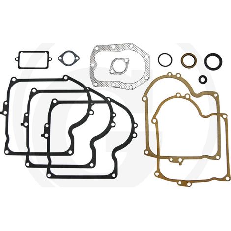 BRIGGS&STRATTON Rasenmähermotor Dichtungssatz 220700 251700 252700