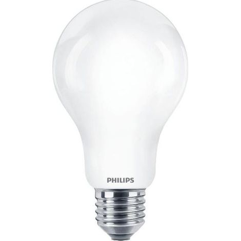 PHILIPS Lampadina LED E27 Standard 17,5W 2452lm 6500K Luce Fredda 7,5x12,1cm