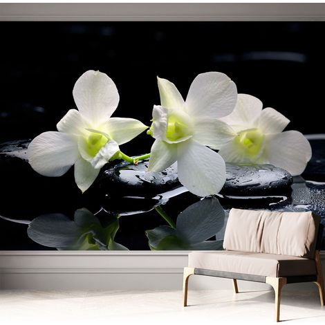 Tapetet Klebetapete für Wohnzimmer Schlafzimmer Küche - Wanddekoration Blumen und Steine 312x219 cm (1/5)