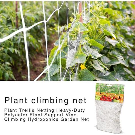 Filet de support végétal treillis pour légumes jardin polyester 1.67x10M 5x30FT grille d'élagage plantes grimpantes