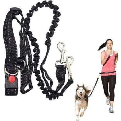 Laisse mains libres pour chien, course à pied, absorbant les chocs, extensible - Ceinture réglable - Pour courir, faire du jogging ou marcher-Enlé