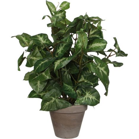 Mica Kunstpflanze Syngonium grün im Topf 35 x 25 cm Kunstpflanzen