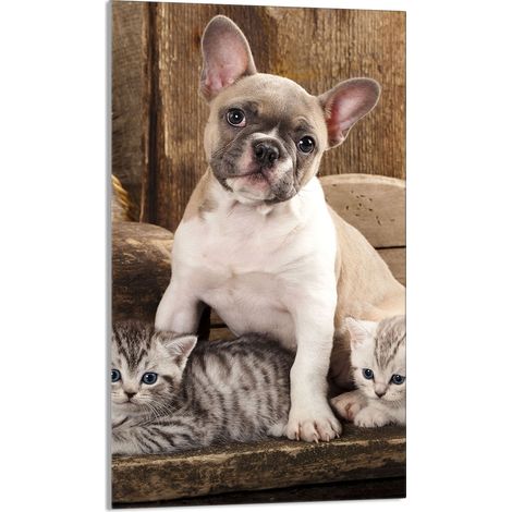 Glasschneidebrett 30x52 Hund (1/5)
