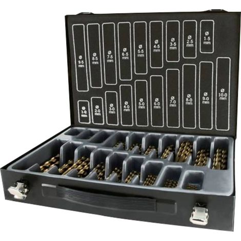 [NEUWERTIG] B-Ware Ruko Terrax Spiralbohrer Set Bohrer Magazin Din338 Hss Co 5 Spibo 170 Teilig