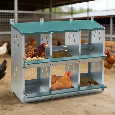 Nid à poules 81x41x67 cm en métal vert, 6 compartiments, collecte facile pour poulailler – MEUBLIV (1/5)