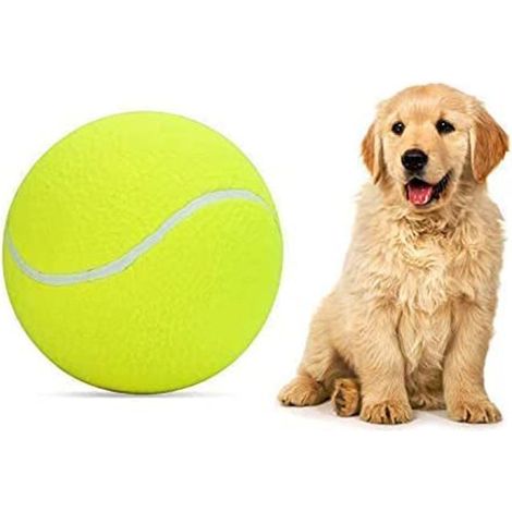 Ballon De Tennis Pour Chien - 24 Cm - Gonflable - Jouet Dentaire Et D'Activité Extérieur Intérieur - 1 Pièce (1/5)