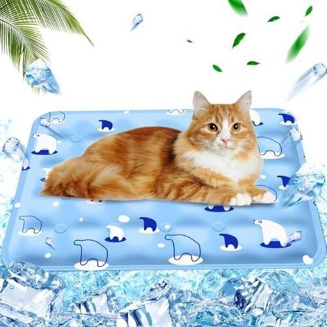 Tapis Coussin rafraichissant pour chien Injection d'eau,Tapis Refroidissement chat Matelas, Tapis rafraîchissant pour Animaux de Compagnie Matelas, Ours polaire bleu clair, 40x50cm, M (1/5)