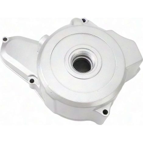Seitlicher Motorschutz aus Metall für Stator und Magnetzünder für 50ccm, 70ccm, 90ccm, 110ccm, 125ccm Pitbikes, Dirtbikes, ATVs und Quads (1/5)