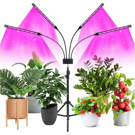 lampe led horticole avec le support, Lampe pour plante améliorée avec télécommande, Full Spectrum 4 Head LED Croissance Floraison pour plantes d'intérieur grandes, 3/9/12H, trépied réglable 30-150cm (1/5)