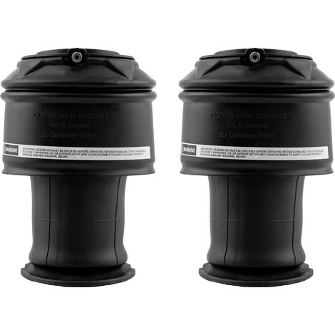 2x Amortisseurs Suspension Pneumatique Arrière 5102R8 5102Gn 9681946080 F307512401 pour C3/C4/Picasso pour F-Type X152 Cabriolet 2012–2019, F-Type X152 Coupé 2012–2019, S-Type X200 Berline 1999–2008
