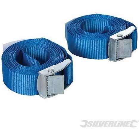 Cinghie da carico con fibbia da ancoraggio bagagli 2,5 m x 25 mm, 2 pezzi