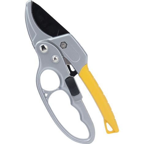 Sécateur à main pour élagage, coupe-branches et ciseaux de jardinage, outil horticole pour plantes et arbres. (1/5)