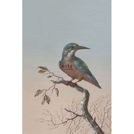 papier peint panoramique martin-pêcheur sur branche rouge grisé clair  - ESTAhome (1/5)