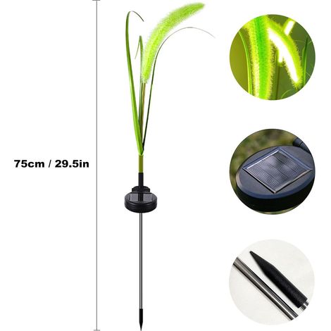 2 lampes solaires pour jardin extérieur - En roseau - Avec 9 LED - Étanche IP65 - Pour pelouse, trottoir, terrasse, balcon, décoration de paysage (1/5)