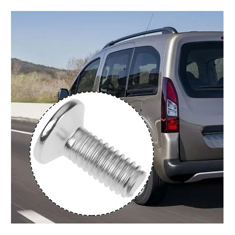 Clips de Fixation pour Vitres de Voiture avec Vis 2839777 857379 (1/3)