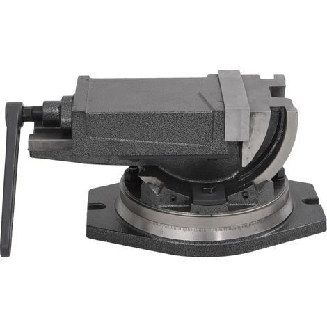 Étau inclinable à 2 axes 160 mm CFW692878 (1/5)