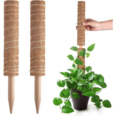 Moosstab für Monstera-Pflanzen, ausziehbarer Pflanzenstab, Pflanzenstäbe für Zimmerpflanzen, 40 cm - Crezuo