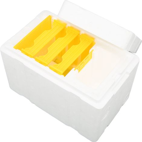 Boîte à reine en mousse, ruche en mousse, cage à reine, mini-boîtes d'élevage de reines pour l'apiculture (1/5)