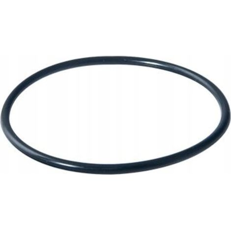 Durchflussfilter-O-Ring-Dichtung 86x3,5 mm DAFI