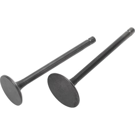 Kit de soupapes d'échappement et d'admission noires, jeu de soupapes d'échappement et d'admission de remplacement pour XG250 TRICKER 2004‑2017 (1/5)