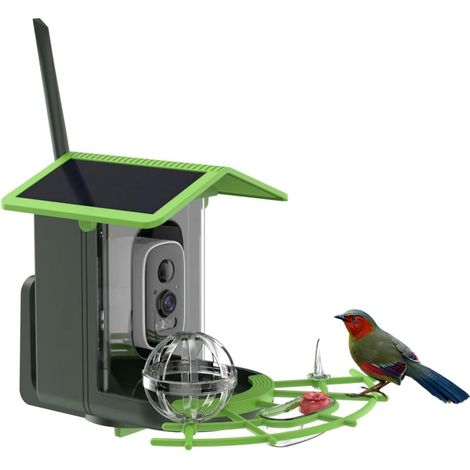 Intelligenter Vogelfutterautomat mit KI und WLAN-Verbindung, smarter Haustierfutterautomat, Full HD 2K mit Echtzeitalarm und Live-Ansicht, für Vogelliebhaber
