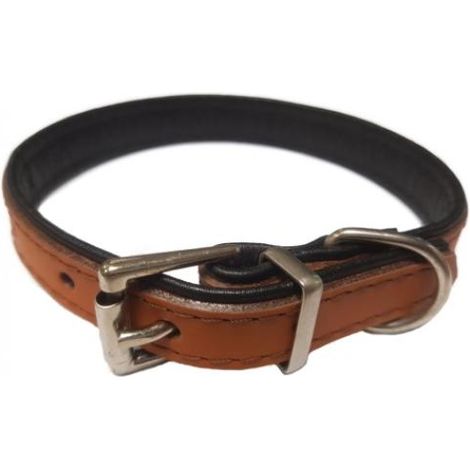 COLLAR CUERO PREMIER 20X400.NARANJA