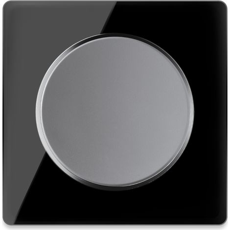 Lichtschalter grau mit Glass-Abdeckrahmen schwarz (1/4)
