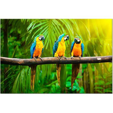 Tableau Parrot Trio (1 Part) Wide - 120 x 80 cm (1/3)