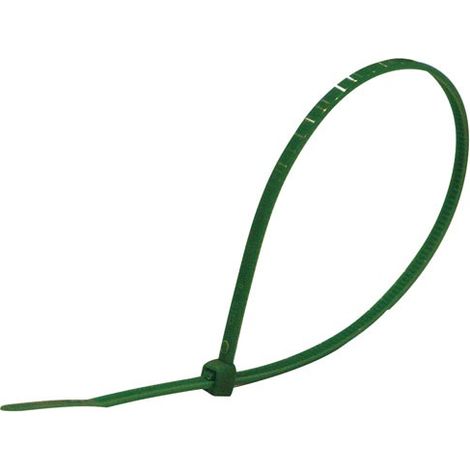 Collier 200x2.5mm Vert 100.sc - Profile