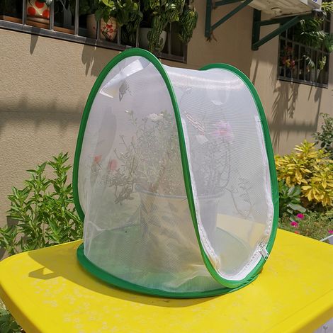 Green Mini Plant Greenhouse Tent with Transparent Cover Protected Plant Grow House, Portable Folding (1/5)