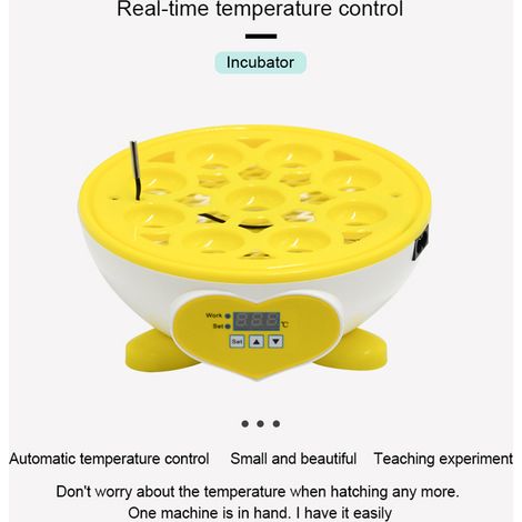 Incubateur domestique compact pour 9 œufs, avec thermostat numérique et fonction couveuse multifonctionnelle (1/2)