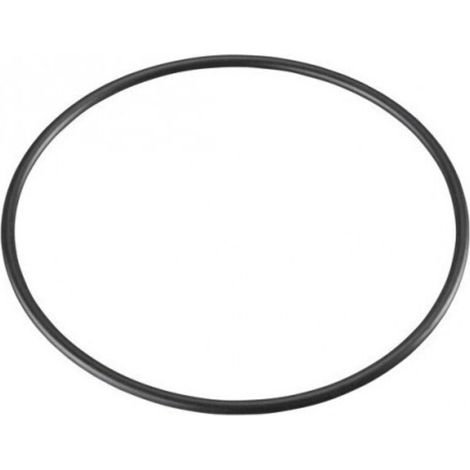 Joint torique pour filtre à eau - étanche, résistant, compatible installation sanitaire, pièce de rechange standard pour système de filtration domestique