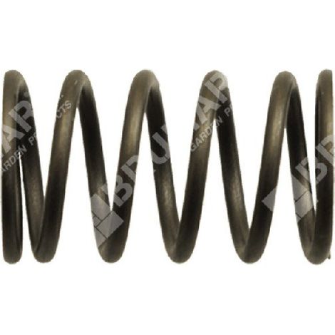Ventilfeder für DUCAR-Motorpumpen - 038571