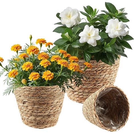 3 Pièces Panier Osier Plante, Cache Pot Osier avec Doublure PE, Paniers Ronds Tressés 17/20/22,5 Cm pour Fleurs, Herbes, Décoration Intérieure Et Balcon (1/5)