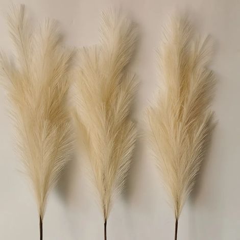 Natürliche, getrocknete Schilfblüten, 110 cm, für Garten-, Hochzeits-, Heim- und Partydekoration, beige.