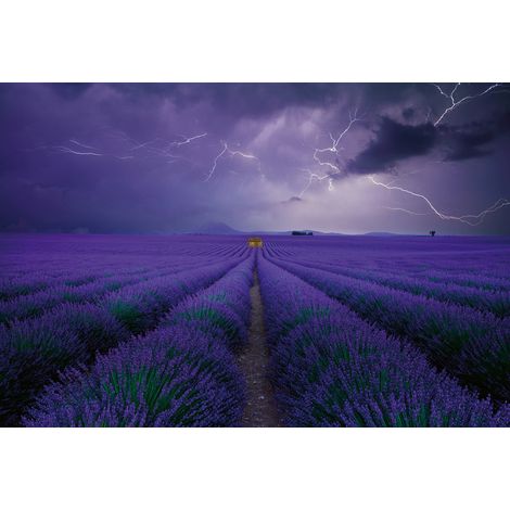 Papier peint panoramique violet champ de lavande | Tapisserie panoramique fleurie idéale salon | Papier peint panoramique 3D ciel orageux - 384 X 260 cm (8 pièces) (1/2)