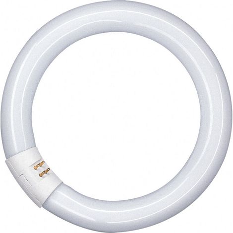 LEDTUBE T9C EM 22 11W 865 G10Q - CEGASA