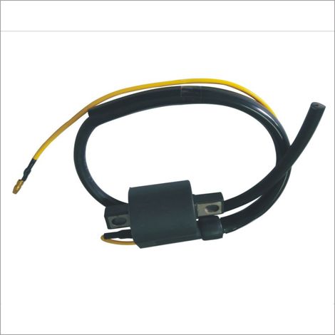 Fourniture de bobines d'allumage et de bobines haute tension pour les motos JD100 et Jetta 100. (1/4)