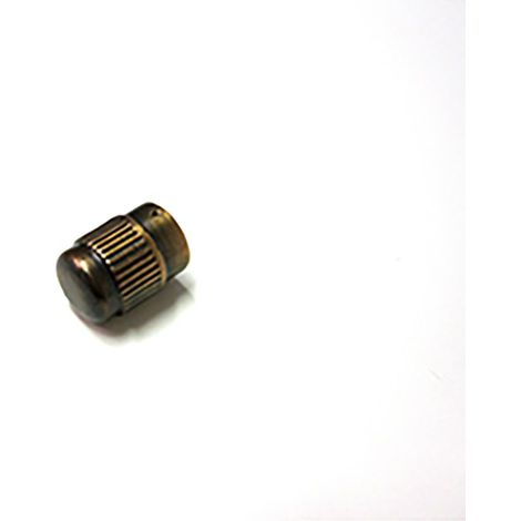 BOUTON MINUTERIE BRUNI POUR FOUR ARISTON - C00110578