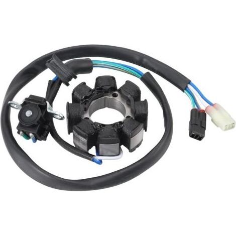 Nazalus-Vendita 8 bobine moto magnete statore motore di accessori di ricambio per CRF 250 CRF250 CRF450r 2005-2008 CRF250r 2004-2009 (1/5)