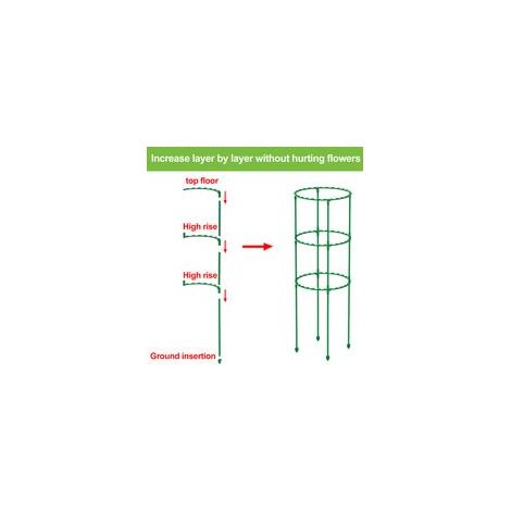 Tuteur pour plantes grimpantes, facile à utiliser et durable.