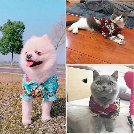 Vêtements d'été pour chien, style hawaïen, manches courtes, imprimé cocotier, collection 2022, cadeau tendance pour animal de compagnie, ananas blanc (1/4)