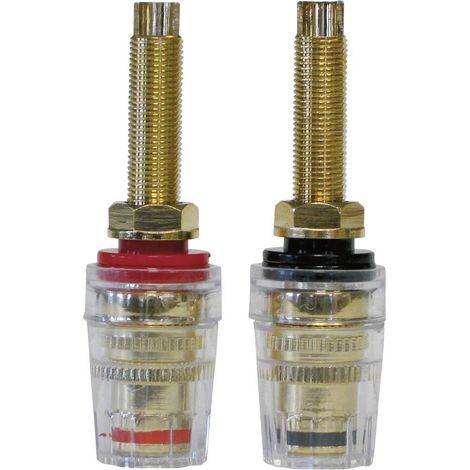 Fiches femelles bananes encastrables haut de gamme Dynavox 204609