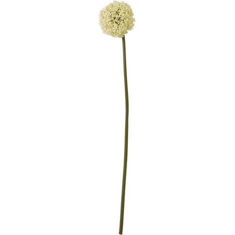 Allium (Single Stem Flower) - Plastic - Height 75 cm - Cream