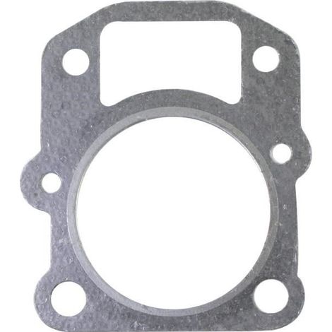 Guarnizione testa motore rasaerba tagliaerba tosaerba T100 NGP V6-10-001-000