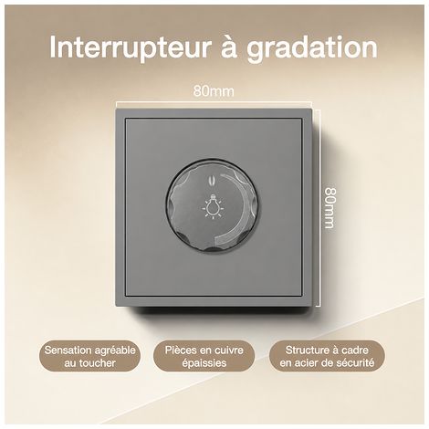 Variateur de lumière 500W mural 80x80mm, 1 Pièce (1/5)